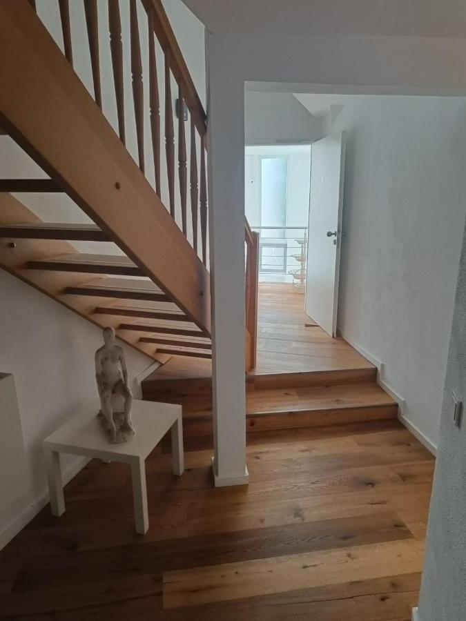 Apartments & Moeblierte Zimmer In Kahl Am Main, Kontaktloser Self Check-In, W-Lan, Schreibtisch, Duschbad, Kuechenzeile, Pkw-Plaetze Kahl am Main Exterior foto